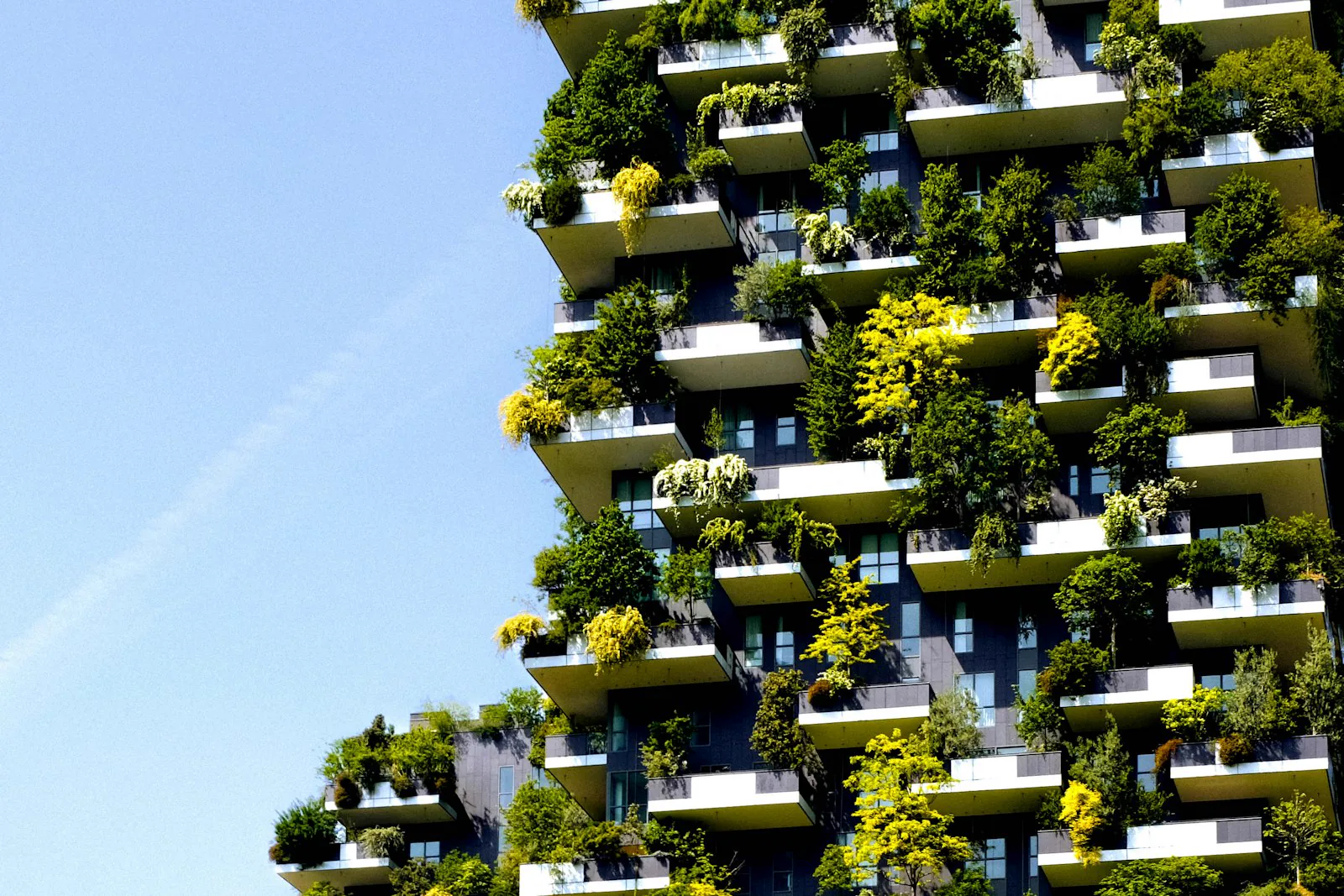 Edificio residencial con la fachada cubierta de vegetación
